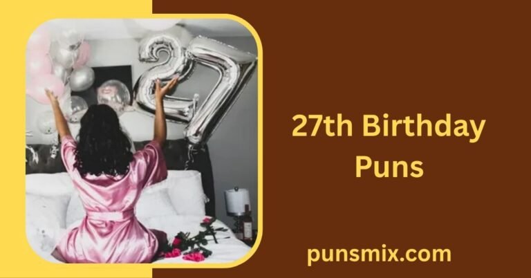 27th Birthday Puns