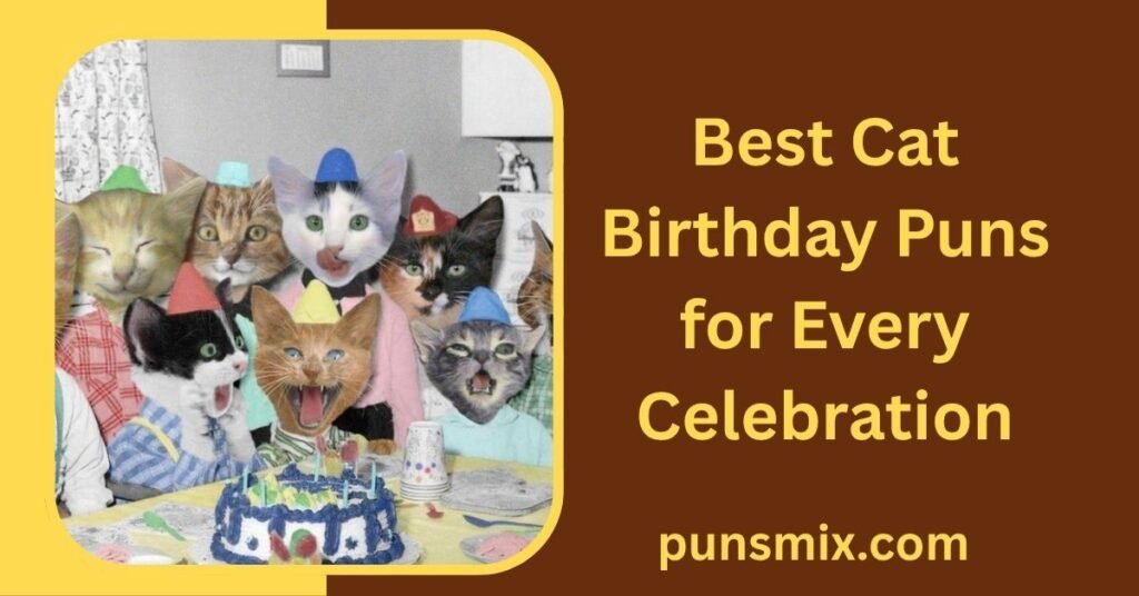 100+ Cat Birthday Puns for a Purr-fectly Funny Celebration 2 Best Cat Birthday Puns for Every Celebration