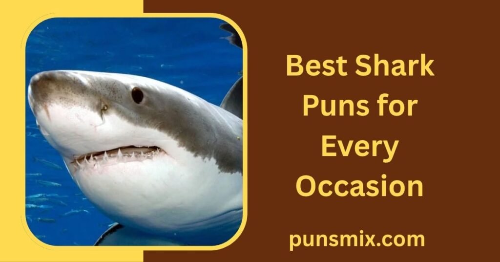 300+ Shark Puns That Are Fin-tastic: Funny, Clever & Hilarious Puns 2 Best Shark Puns for Every Occasion