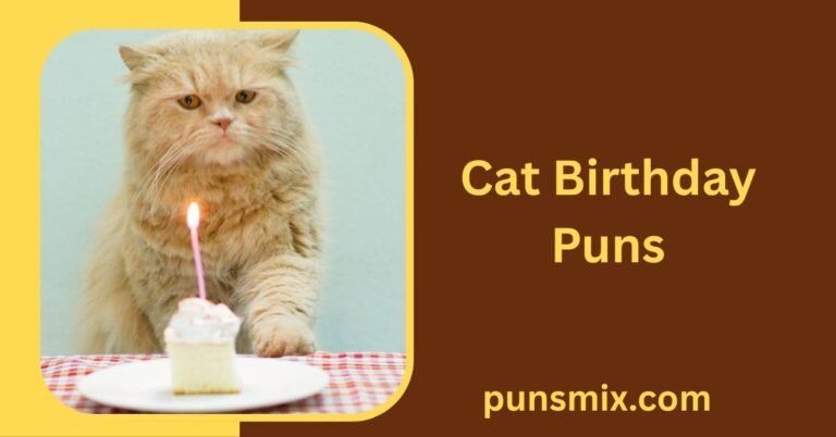 Cat Birthday Puns