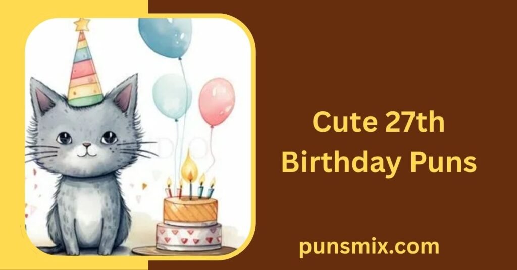 Cute 27th Birthday Puns