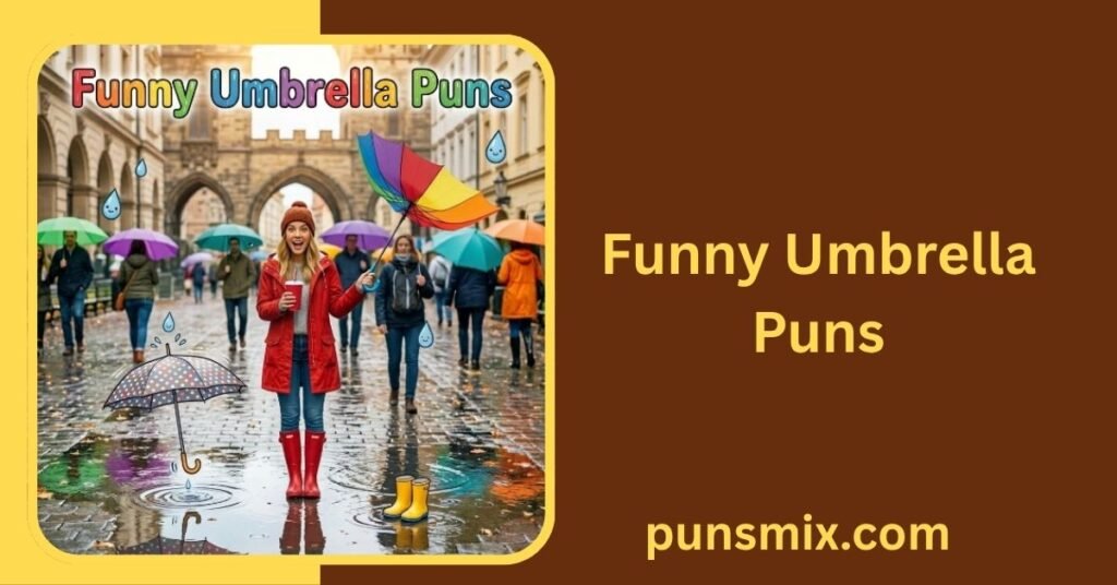 Funny Umbrella Puns