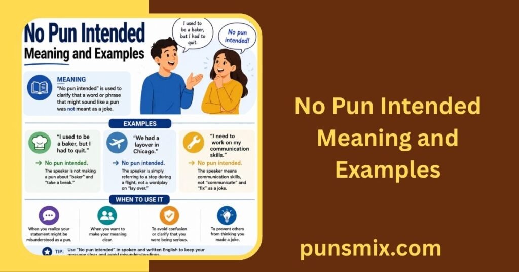 Pun Intended Meaning Explained Clearly: 15+ Examples & Uses 5 No Pun Intended Meaning and Examples