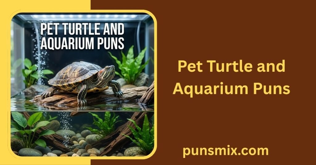 Pet Turtle and Aquarium Puns