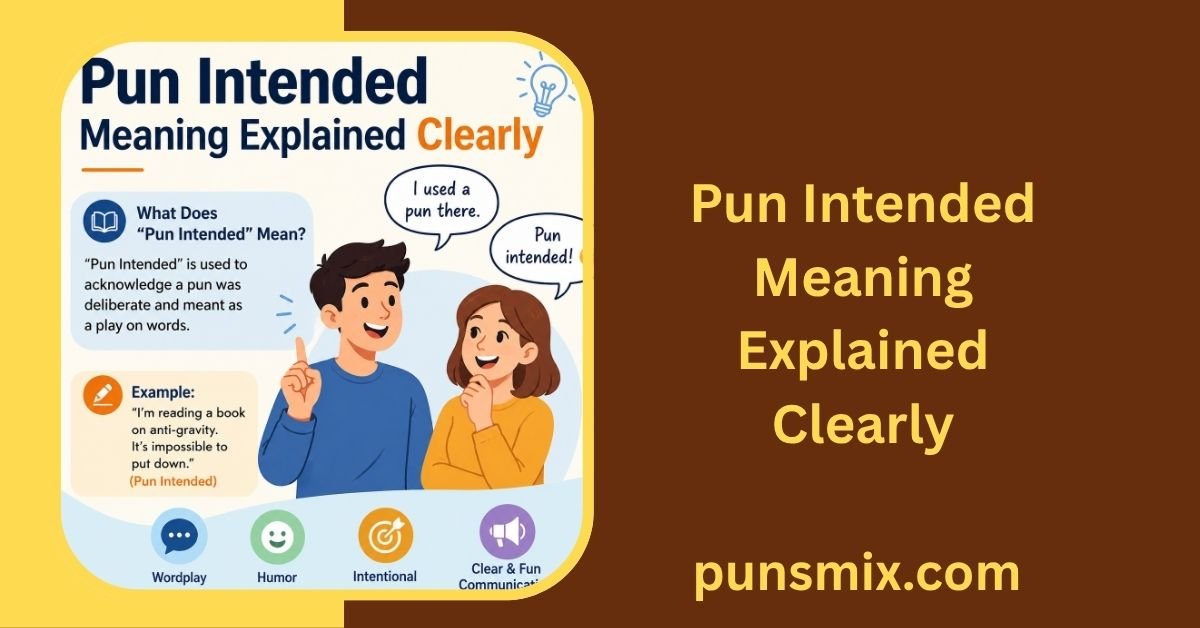 Pun Intended Meaning Explained Clearly