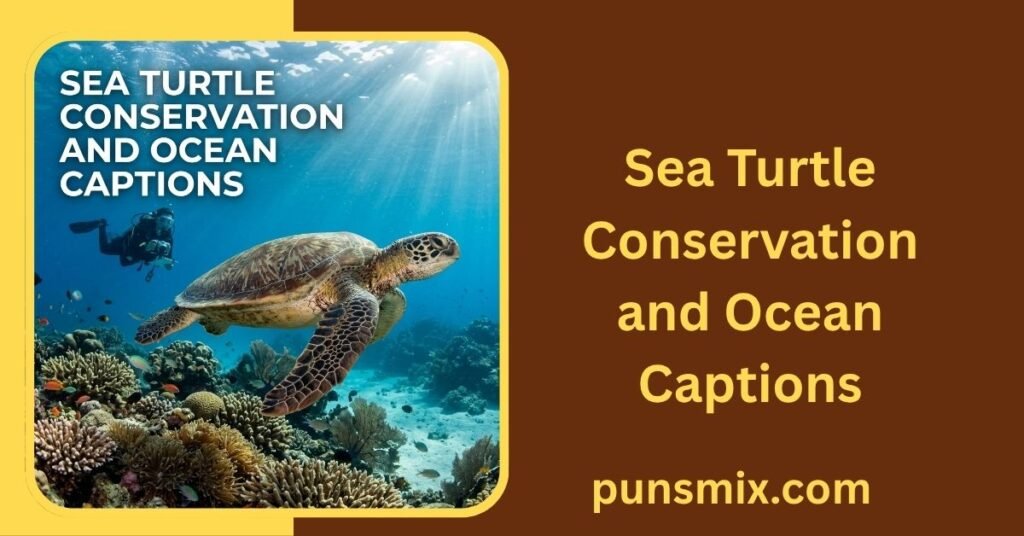 Sea Turtle Conservation and Ocean Captions