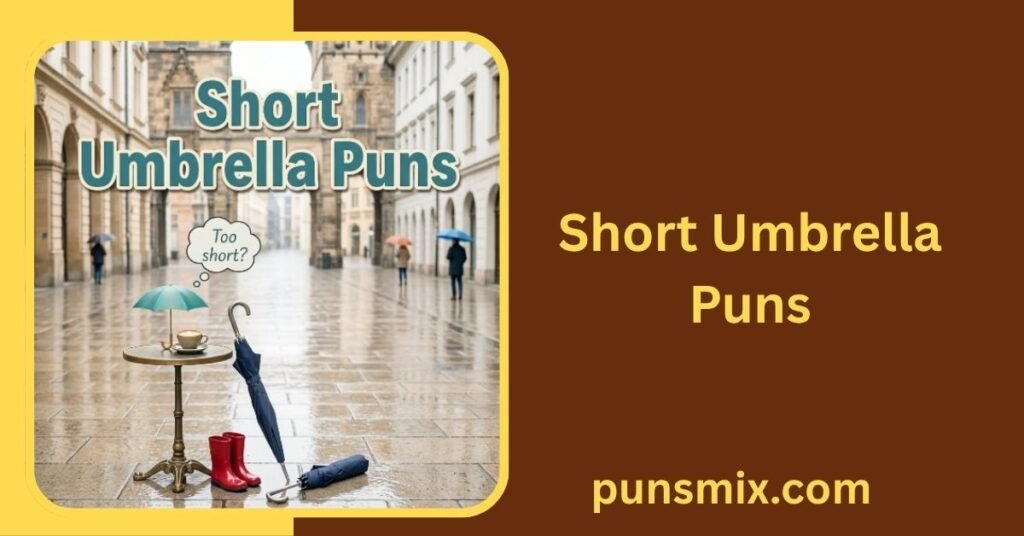 Short Umbrella Puns