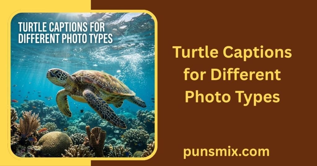 Turtle Captions for Different Photo Types