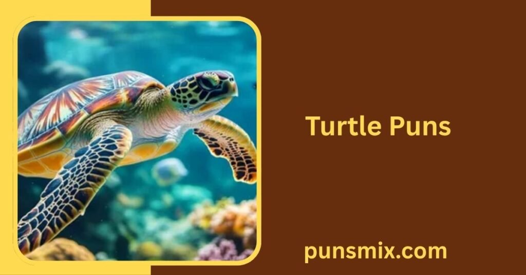 Turtle Puns